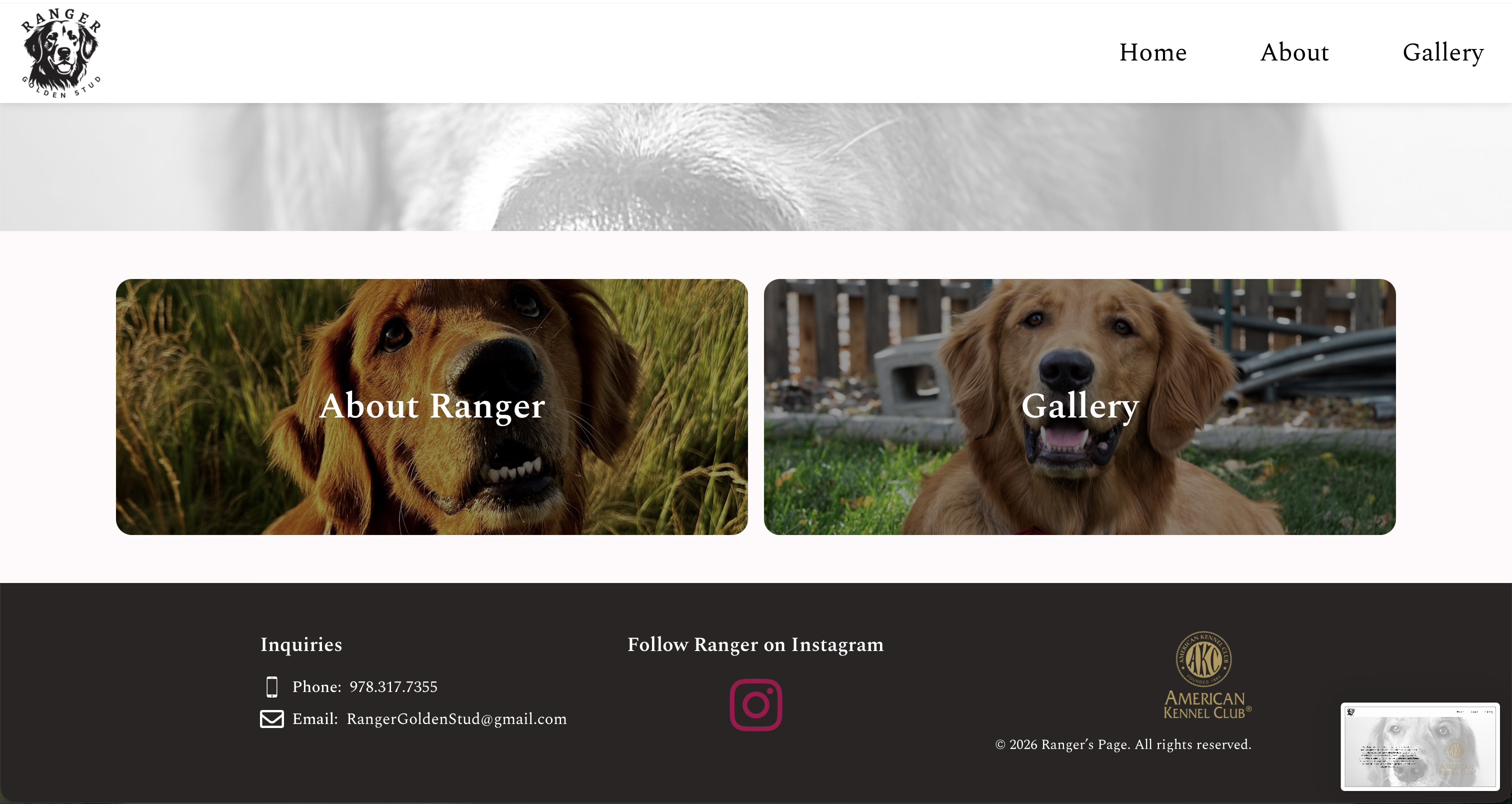 Ranger Golden Stud project screenshot 2
